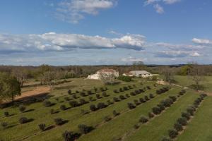 una vista aérea de una granja con hileras de arbustos en Aux Truffes de Combecave, en Mauroux