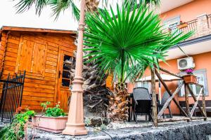 uma palmeira em frente a uma casa em Martina Paradise Affitta Camere em Nicolosi