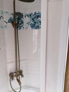 um chuveiro na casa de banho com uma cabeça de chuveiro em Mobilheim in Alttrebbin em Neutrebbin