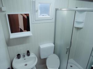 a bathroom with a toilet and a sink and a mirror at Mobile home Amfora in Sveti Juraj