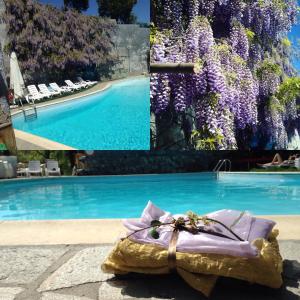 un collage de fotos de una piscina con flores púrpuras en Villa Gioia, en Acqui Terme