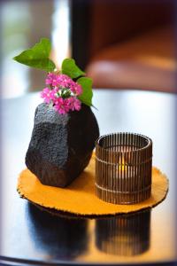 a plant in a rock with two stacks of coins at Ukiha in Hita