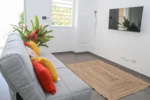 um sofá cinzento com almofadas coloridas numa sala de estar em Dlo Doubout les pieds dans l'eau em Sainte-Anne