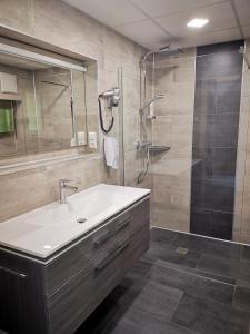 ein Bad mit einem Waschbecken und einer Dusche in der Unterkunft Pension Puster in Gobernitz