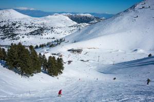 un grupo de personas esquiando por una pista cubierta de nieve en Kleitor Stone Villa-Peloponnese Getaway en Klitoria