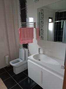 y baño con lavabo, aseo y espejo. en Nergis dağ evi, en Trabzon