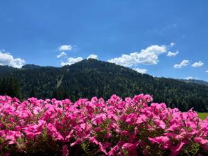 een bos roze bloemen voor een berg bij Gästehaus Nussbaumer in Balderschwang