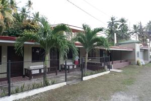 una casa con dos palmeras delante de ella en La Ven Guesthouse en San Juan