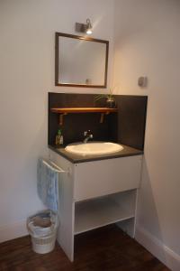 een badkamer met een wastafel en een spiegel bij Solfé Backpacker in Luz-Saint-Sauveur