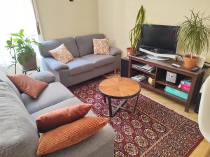 uma sala de estar com um sofá e uma televisão em A quiet place in the heart of the city em Budapeste