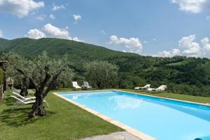 una piscina con una montaña en el fondo en Villa Olivi, en Subbiano