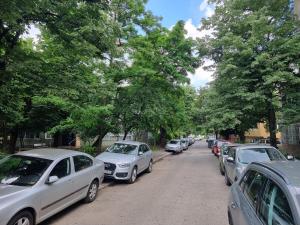 eine Reihe von Autos, die auf einer Straße mit Bäumen geparkt sind in der Unterkunft NEW Iorga4 OldCity SelfCheckIn in Timişoara