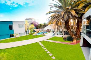 vistas a un patio con una palmera en Camino Plaza, en Cochabamba