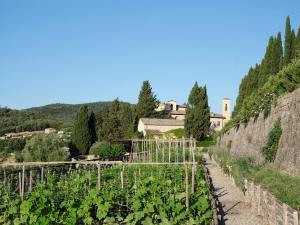 a vineyard in the hills with a house in the background at Rosewood Castiglion del Bosco in Castiglione del Bosco