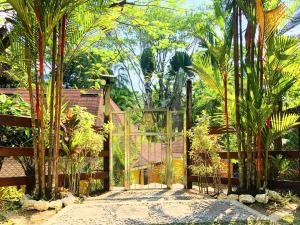 a gate to a garden with palm trees and a house at Villa del Idaan in Bocas del Toro
