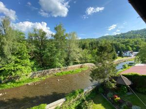 een uitzicht op een rivier vanuit een huis bij Nad Grajcarkiem Pieniny in Szczawnica