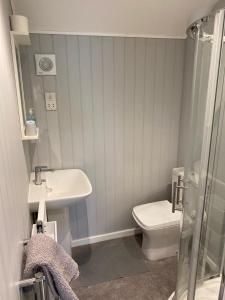 La petite salle de bains est pourvue d'un lavabo et de toilettes. dans l'établissement Petherton Cottage Studios, à Ringwood