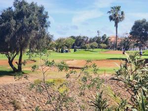 カレタ・デ・フステにあるCasa Yasmin golf clubのヤシの木と緑のゴルフコース