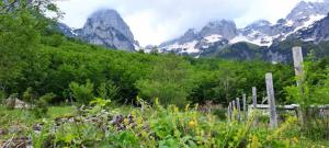 Paesaggio naturale nelle vicinanze dell'hotel