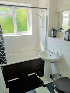 a bathroom with a sink and a shower and a toilet at 2 Dbl Bed Top Floor Modern Oriental Flat Greenwich Park in London