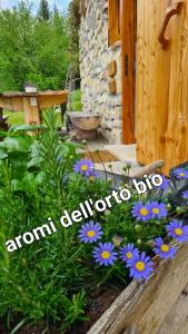a garden with purple flowers and a sign that saysamon clawo dip at Baita Pra Petina Pale di San Martino in Siror