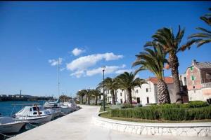 eine Gruppe von Booten, die in einem Hafen mit Palmen angedockt sind in der Unterkunft Apartman Benzon Vranjic in Vranjic