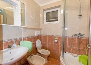 a bathroom with a toilet and a sink and a shower at Apartment By the sea in Donje Selo na Šolti
