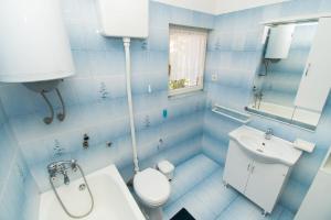 La salle de bains bleue est pourvue de toilettes et d'un lavabo. dans l'établissement Apartments Zivana, à Žaborić