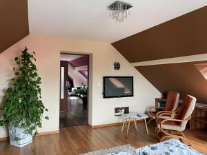 a living room with a potted plant and a tv at Apartament Podczerwone in Czarny Dunajec