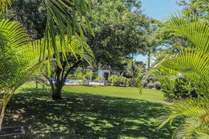 a green park with a palm tree in the middle at Water Mills- Beach Apartments in Mammee Bay