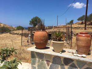 a group of potted plants sitting on a stone wall at red2 guest house in Flampouria