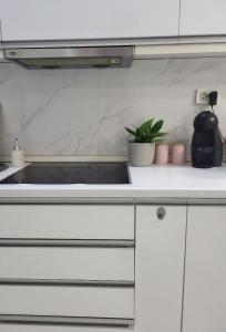 um balcão de cozinha com um lavatório e um vaso de plantas em Chic and Cozy Apartment on the Main Pedestrian Street em Struga