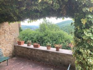 a row of potted plants sitting on a stone ledge at Bargi in Lugnano
