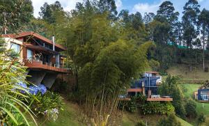 حديقة خارج Luxé Cabañas