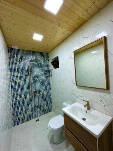 ein Badezimmer mit einem WC, einem Waschbecken und einem Spiegel in der Unterkunft WoodStar/ტყის ვარსკვლავი in Ambrolauri