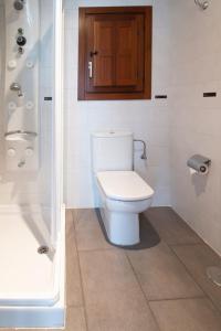 a bathroom with a toilet and a shower at Apartamentos Casa Miño in Pola de Somiedo