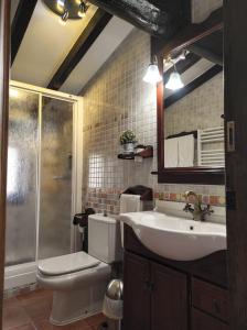 ein Bad mit einem WC, einem Waschbecken und einer Dusche in der Unterkunft Apartamentos Rurales Fuente Chiquita in Hervás
