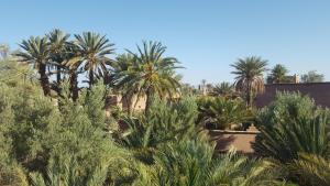 Zahrada ubytování PALM'SKOURA