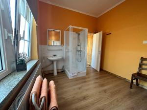 La salle de bains est pourvue d'une douche et d'un lavabo. dans l'établissement Hotel Le Luxembourg, à La-Roche-en-Ardenne