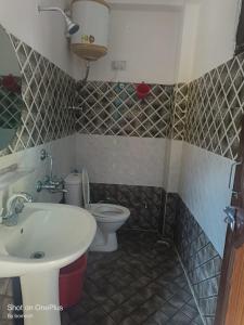 een badkamer met een wastafel en een toilet bij Gold star guest house and cafe in Tosh