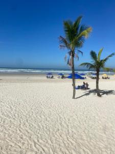 a beach with two palm trees and the ocean at Pousada As Ondas in Guarujá