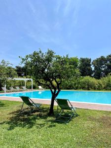 twee stoelen en een boom naast een zwembad bij Chiusa Di Carlo Agriturismo in Avola
