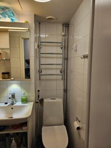 ein Bad mit einem WC und einem Waschbecken in der Unterkunft Comfortable 1 bedroom apartment in Helsinki in Helsinki