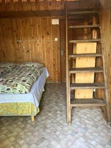 a bedroom with a bunk bed and a ladder at Faház Motel in Abádszalók