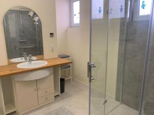ein Bad mit einem Waschbecken und einer Dusche in der Unterkunft Kaptainshuus Apartment B in Leer