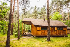 a wooden cabin in the woods with trees at Cozy Nature Retreat with Patio Fireplace Garden 