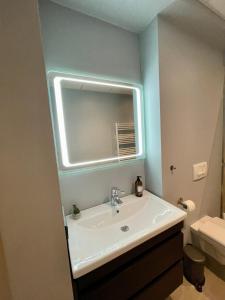 een badkamer met een wastafel en een spiegel bij Modern apartment with hot tub in Akureyri in Akureyri