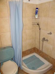 a bathroom with a shower with a toilet and a shower curtain at Eleni's Apartments & Studios 1 in Achílleion