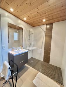 uma casa de banho com um lavatório e um chuveiro em Résidences Delavay La Cordée em Les Gets