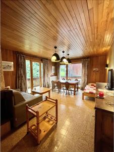 TV a/nebo společenská místnost v ubytování Résidences Delavay La Cordée